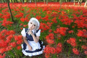 Ayaka Saku Ayaka《 Touhou Project》 Izayoi Sakuya + ความรู้ Patchouli [Shooting Star's]