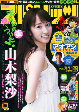 [Wöchentliche große Comic-Geister] Yamagi Risa 2016 No.50 Photo Magazine