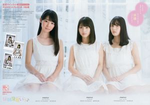 Nogizaka46 Mizuki Yamashita Momoko Ozono Shiori Kubo Tamami Sakaguchi Yuki Yoda Hazuki Mukai [Junges Tier] 2016 Nr. 24 Foto