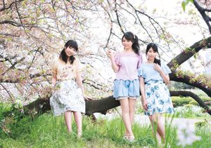 Rina Asakawa Marina Nagasawa TrySail [Animal joven] 2016 No.11 Foto Mori