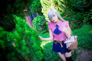 [Welfare COS] Anime-Bloggerin Asano Mushroom – The Seven Deadly Sins Elizabeth Leones