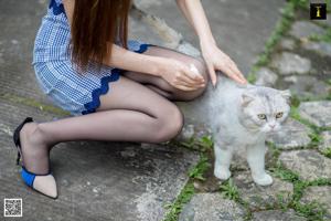 Model Nine Sisters "Nueve hermanas que se encuentran con Fat Cat" [Edición para IESS]