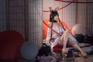 [Cosplay Photo] Anime blogueur Teppanyaki Ghost Dance w - Akagi