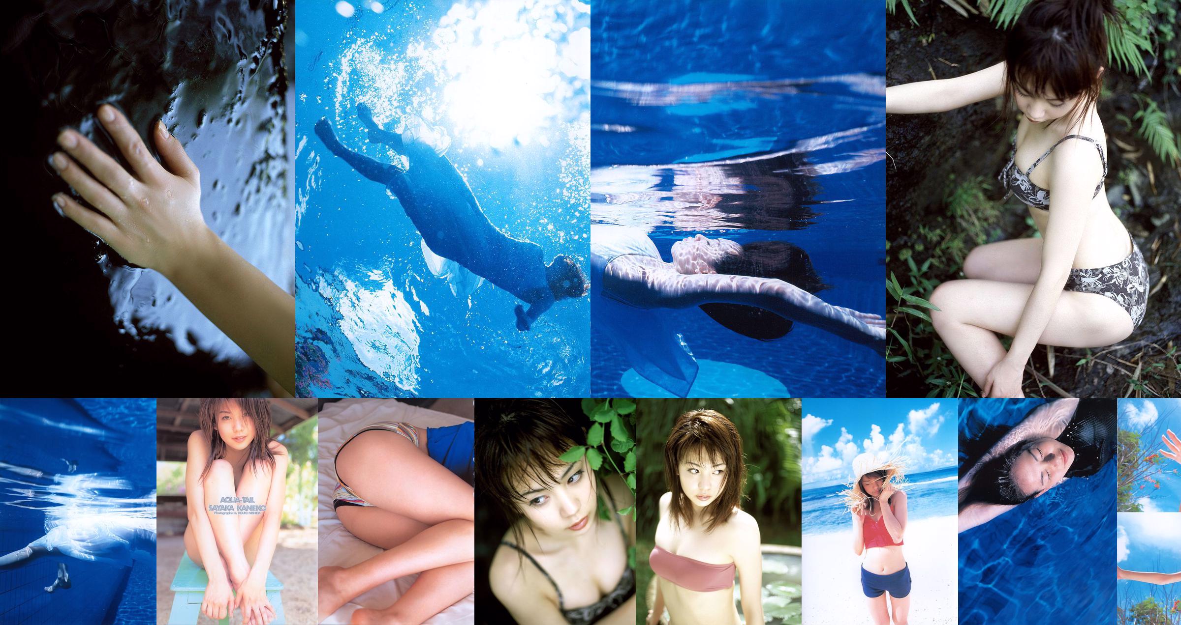 Kaneko Kan や か / Kanesha Yaka "AQUA-TAIL" [PB] No.0942ac Seite 9