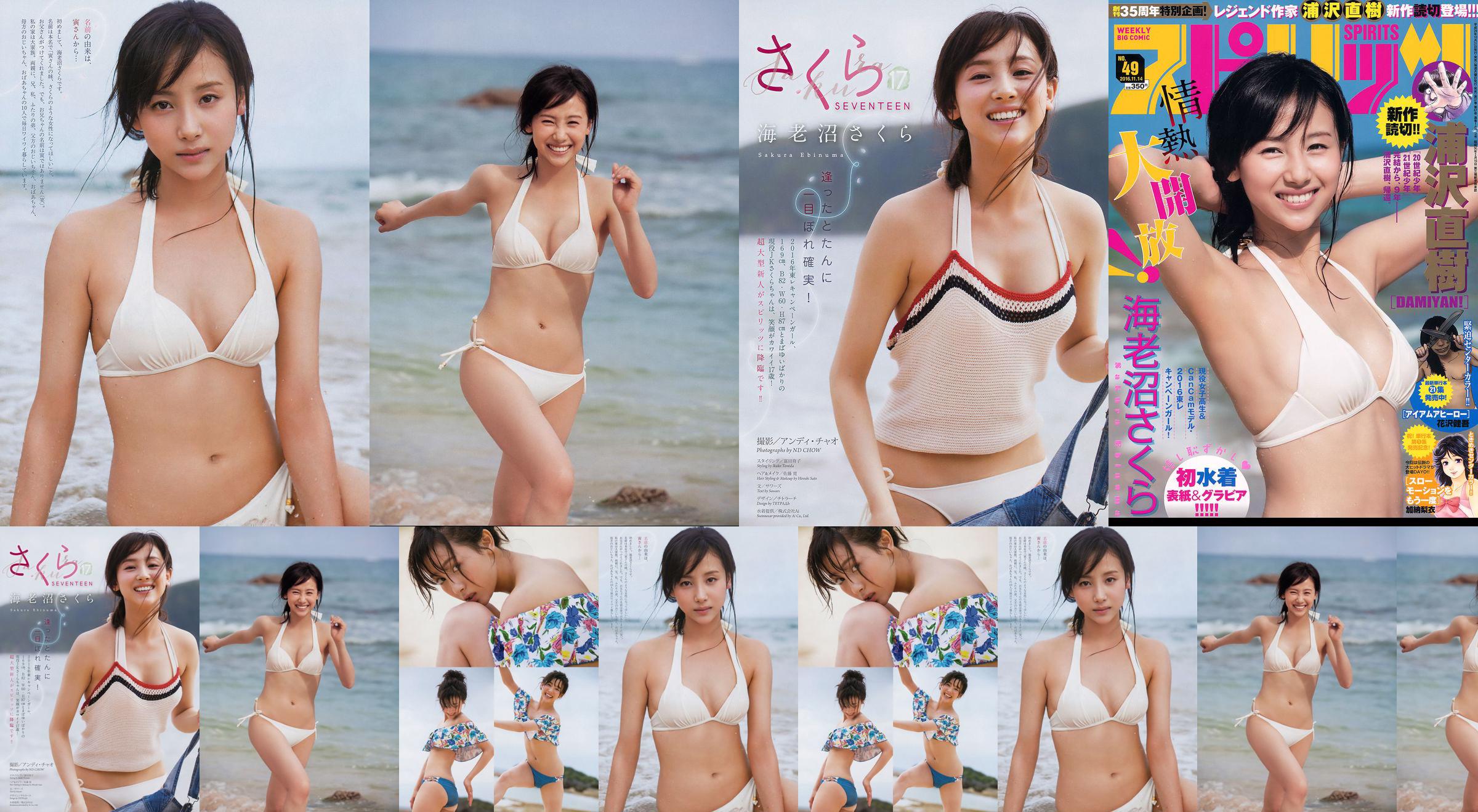 [Weekly Big Comic Spirits] 海老沼さくら 2016年No.49 写真杂志 No.1e955a 第1页