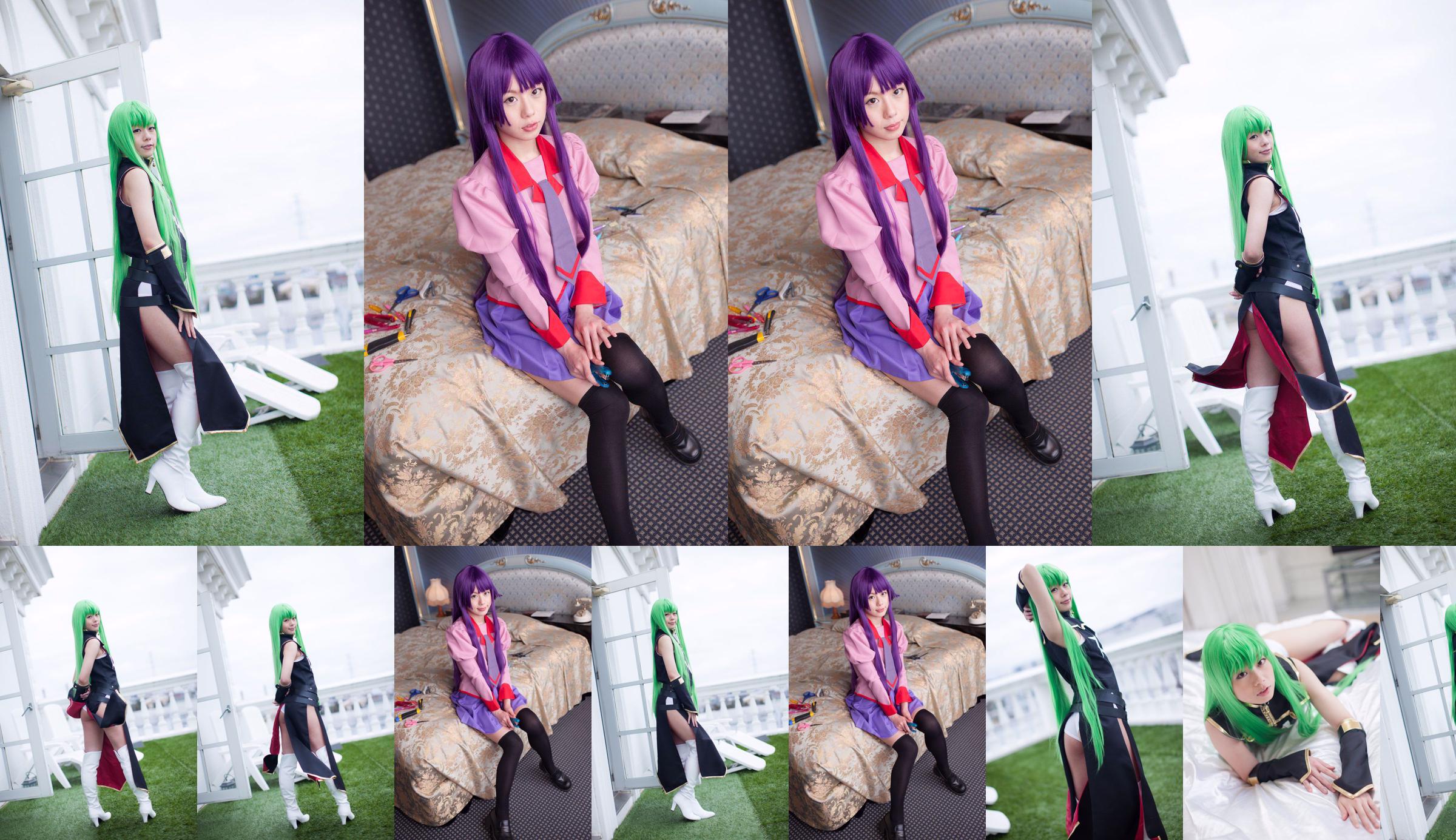 Ren Aizawa (เร็นไอซาวะ) "Bakemonogatari" Senjougahara Hitagi [@factory] No.adc9b6 หน้า 3