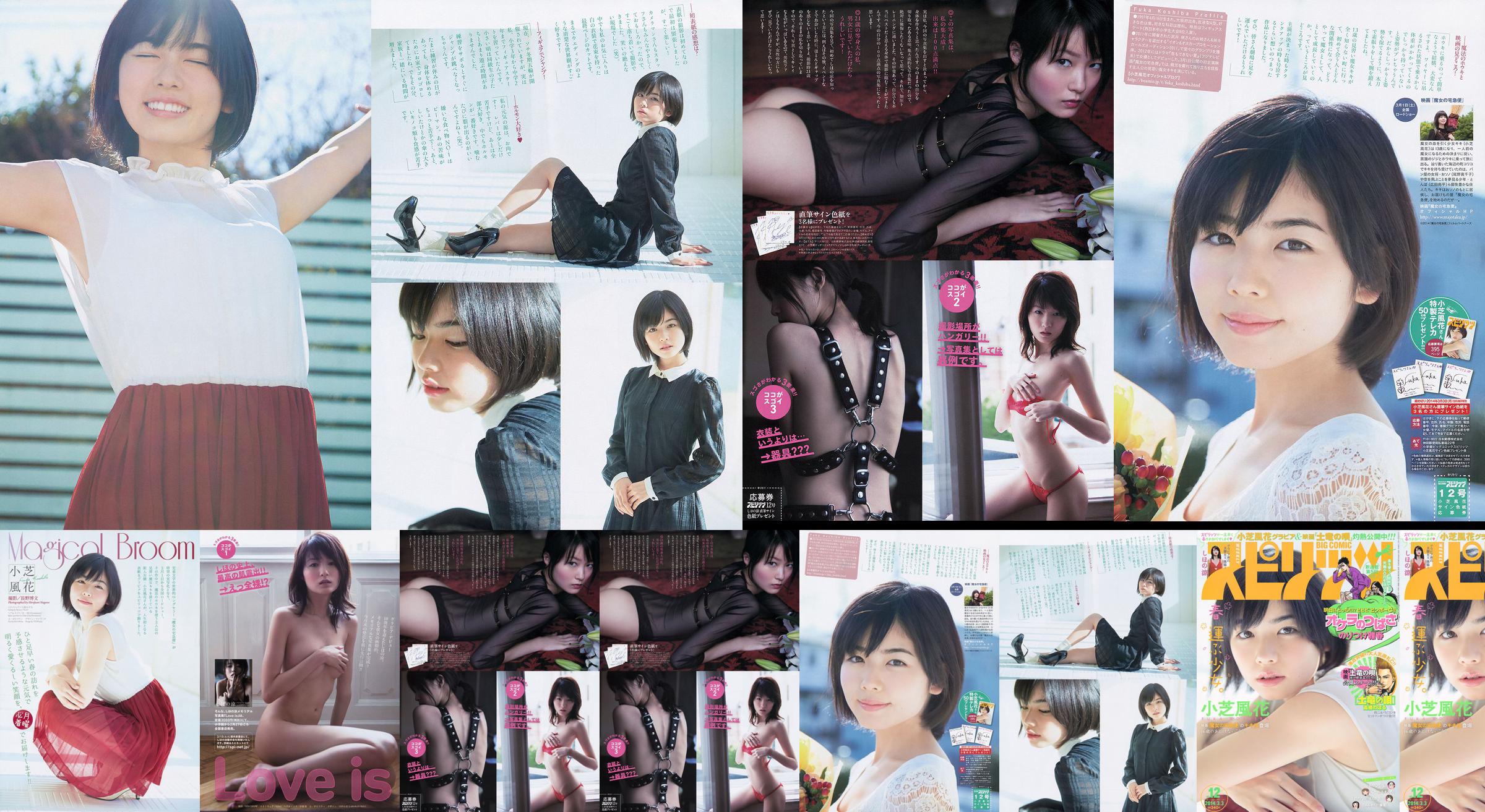 [Weekly Big Comic Spirits] Xiaoshiba Fuhua Ryo Shihono 2014 No.12 Photo Magazine No.c24a25 Página 1