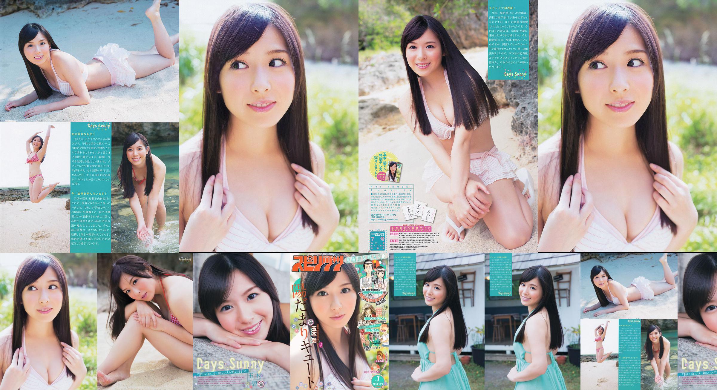 [Weekly Big Comic Spirits] 玉木碧 2014年No.07 寫真雜誌 No.a249ff 第1頁